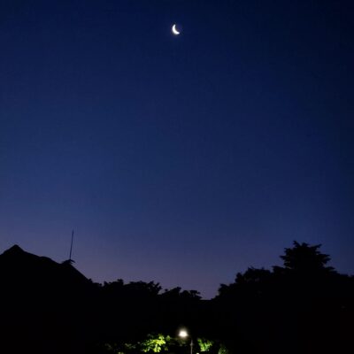 고진호 대표사진1